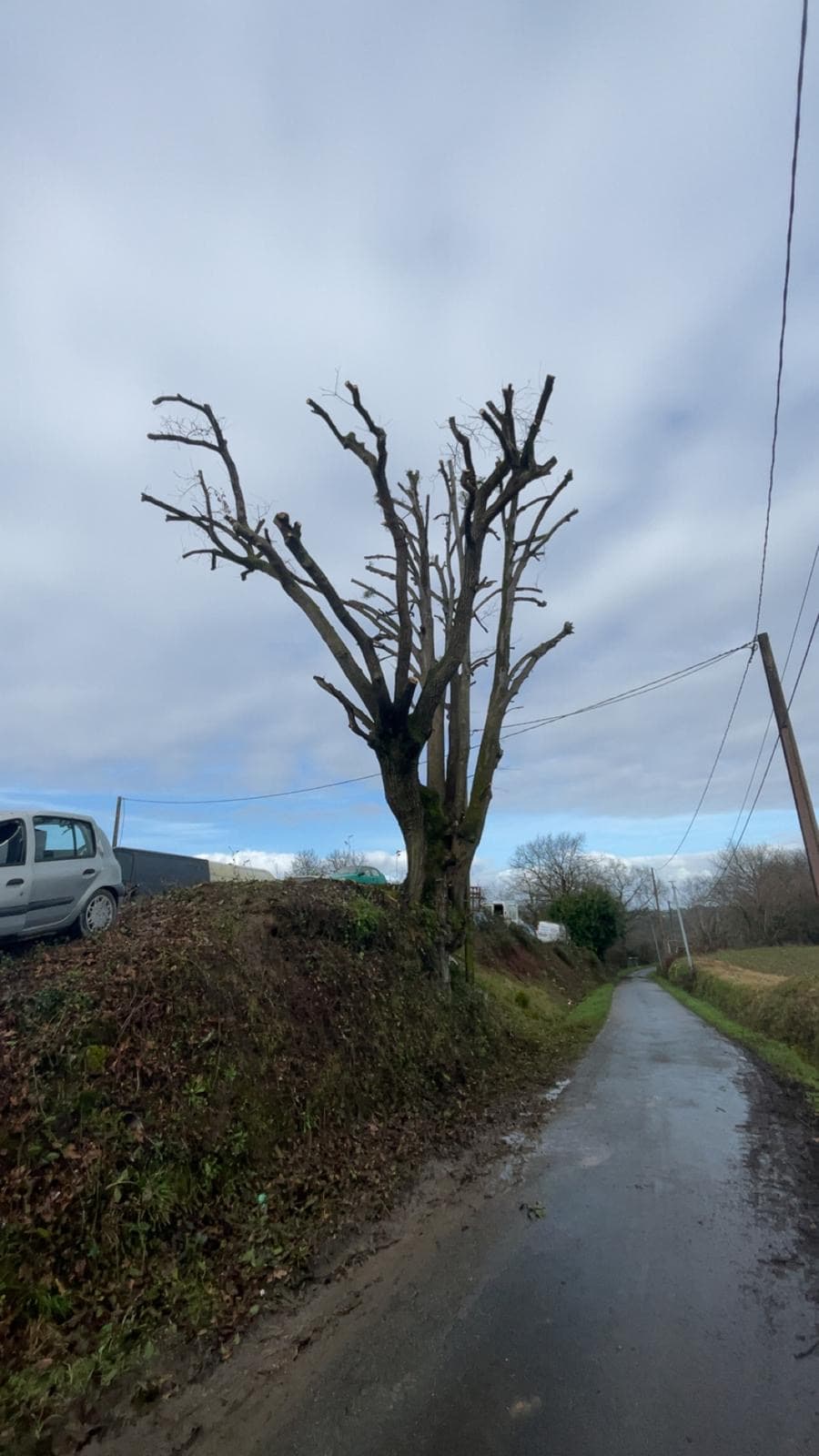 Ossages, après