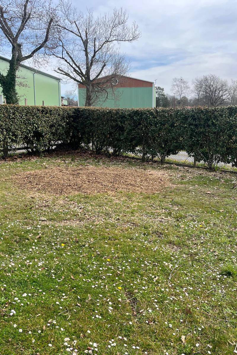 Salies, après
